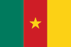 Équipe CAN 2022 Cameroun