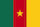 drapeau miniature équipe foot Cameroun