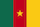 Drapeau Miniature Équipe Foot Cameroun