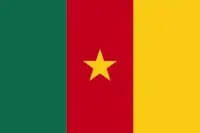 Drapeau pays Cameroun